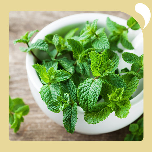 a bowl of herbs